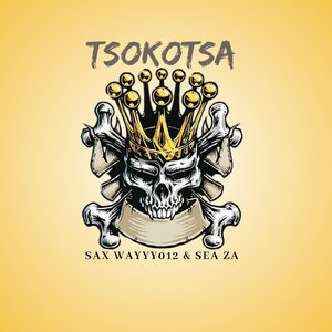 Tsokotsa
