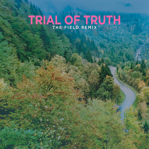 Trial of Truth (The Field Remix)