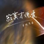 寂寞才说爱 (DJheap九天MMO) - 苍弟（半吨兄弟） 专辑封面