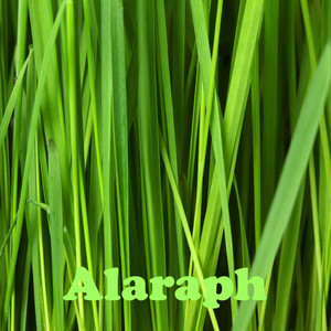 Raindrops Keep Fallin' On My Head