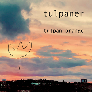 Tulpaner