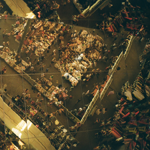 Мертві дерева