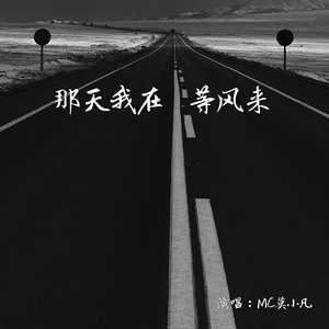 那天我在等风来