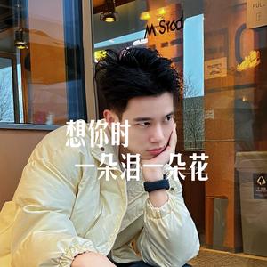 想你时一朵泪一朵花 (Demo Ver.)