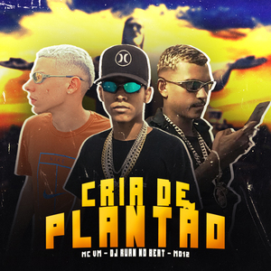 Cria de Plantão