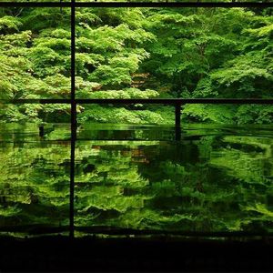 琉璃光 | Chinese Traditional Lofi HipHop Type Beat