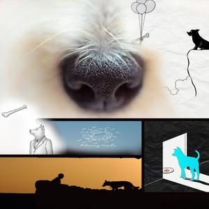 옳지 우리 강아지 잘했어 이뻐 착하다