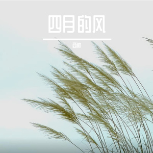 四月的风
