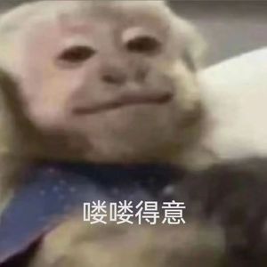 十九岁盛夏华尔兹