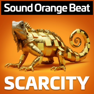 Scarcity