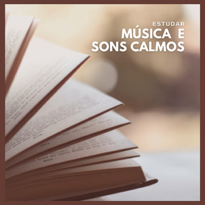 Estudar: Música e Sons Calmos (Pt. 01)