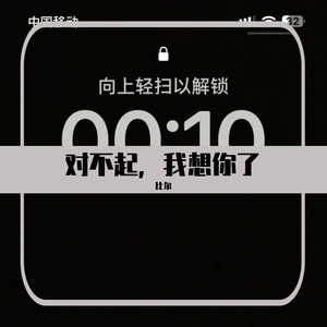 对不起，我想你了
