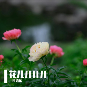 花儿开开开