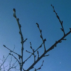 蝴蝶 （prod.by Morrow x ayoley）