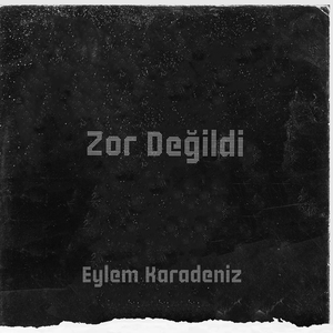 Zor Değildi
