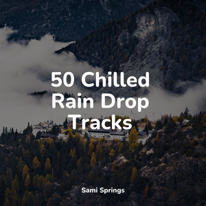 Forest, Campfire, Crackle