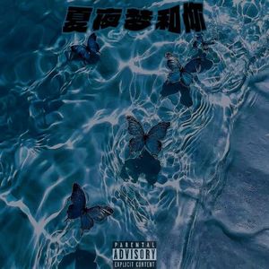 夏夜梦和你