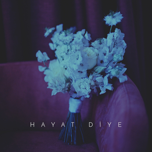 Hayat Diye