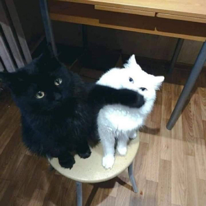 may muon hon thua voi tao