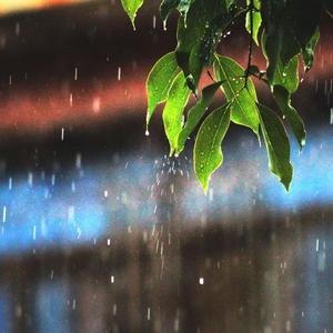 和风细雨