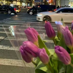 橘子汽水味的夏天