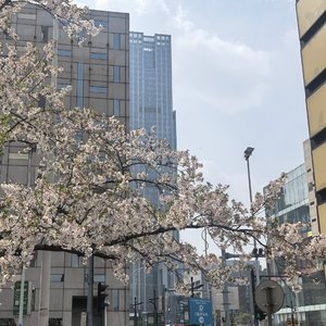 以前就是想你