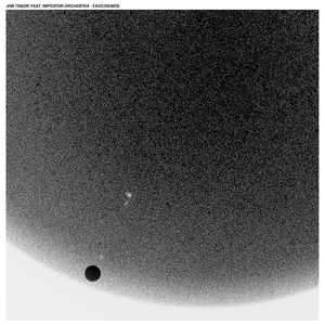 Tiny Free Bird (feat. Impostor Orchestra, Ekow Alabi Savage, Daniel Allen Oberto, Ilkka Mattila, Hilary Jeffery, Akinola Famson & Jimi Tenor)