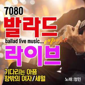 내 가슴에 내리는 비