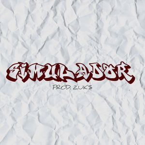 Simulador