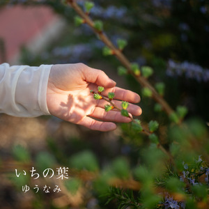 いちの葉