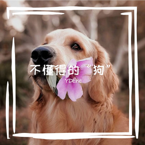 不懂得的“狗”