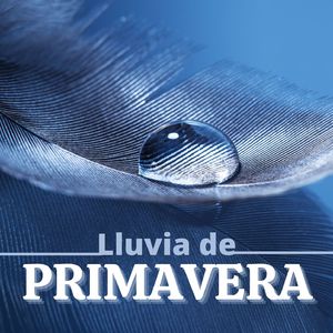 Purificación