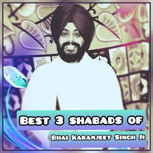 Best Shabads Of Bhai Karamjeet Singh Ji Barnala Walele