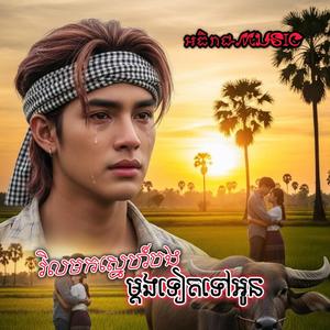 វិលមកសេ្នហ៍បងម្តងទៀតទៅអូន