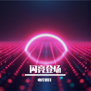 闪亮登场