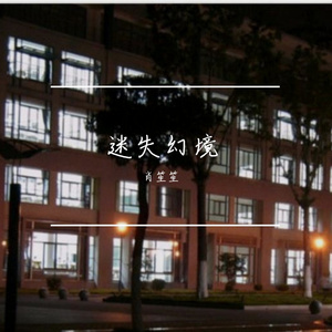 迷失环境（翻自 王忻辰）