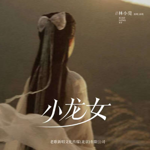 小龙女