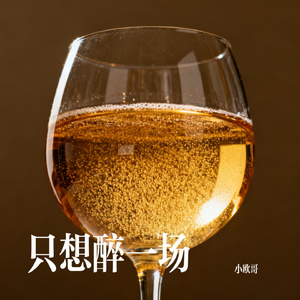 只想醉一场