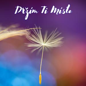 Držím ti místo