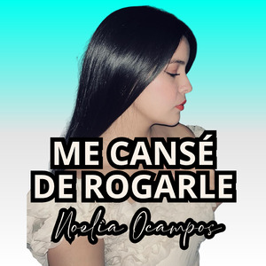 Me Cansé de Rogarle