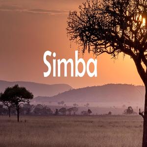 Simba Riddim