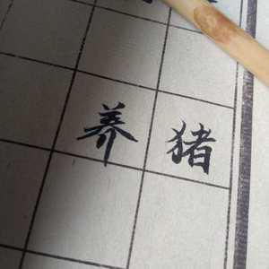 陪你看星星（片段）（翻自 陈子晴）