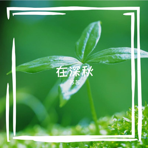 tmp_822c530a54fcdc4eb8c527502362da73