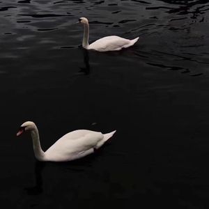 Shed a Light（Sadieze remix）