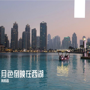 月色倒映在西湖