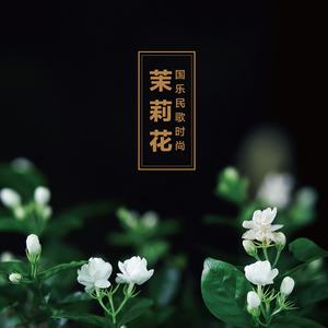 沂蒙颂 (板胡独奏)