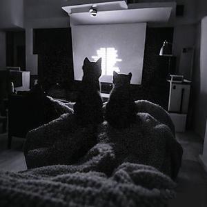 我独来独往像个失恋高手