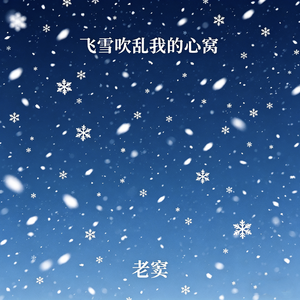 飞雪吹乱我的心窝