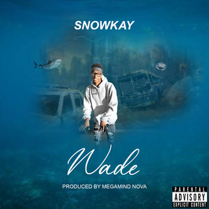 Wade