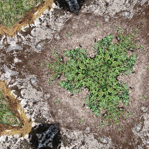 A serene hymn in which the soul lays